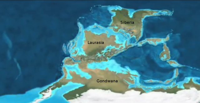 Carbonífero temprano