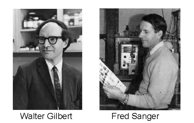 Fredeerik Sanger y Walter Gilbert