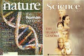 12 de febrero de 2001 "Celera" y "Consorcio Público"