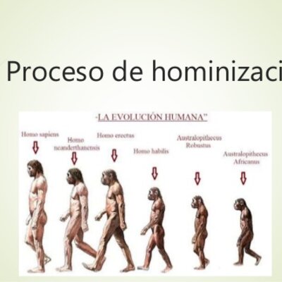 Timeline: PROCESO DE HOMINIZACIÓN