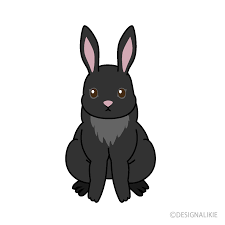 Ma deuxiéme lapin.