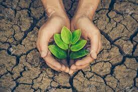 Environmental Initiatives