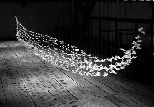 Faisceau-Isa Barbier