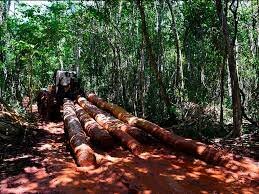 Ley General de Desarrollo Forestal Sustentable