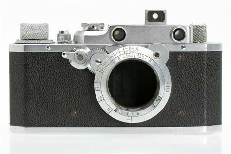 first picture of Rosa