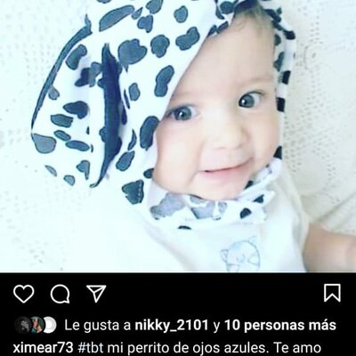 Timeline: La vie de Miguel