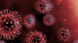 Timeline: COVID Timeline