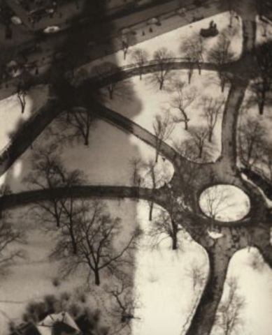 El pulpo, Madison Square Garden Park