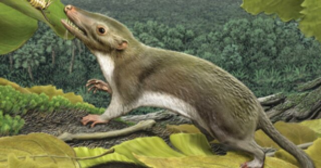 Aparición de los primeros vertebrados (en la tierra)