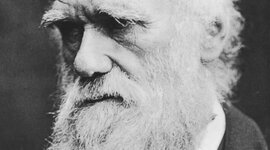 Timeline: Charles Darwin