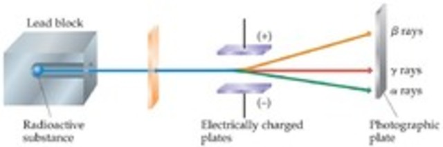 Marie  (1867-1934) and Pierre Curie -  (1859-1906)