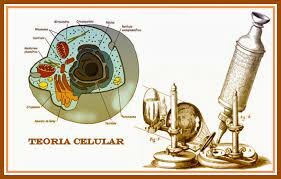 LA TEORIA CELULAR