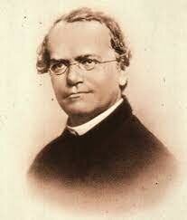 GREGOR MENDEL