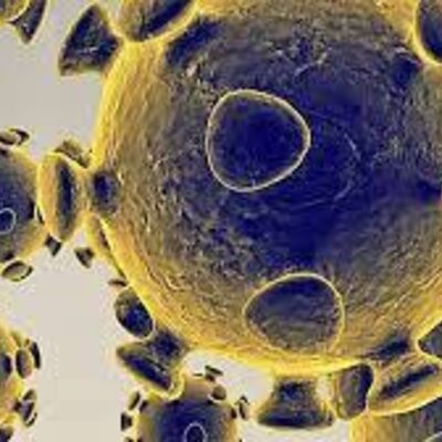 Timeline: Pandèmies i epidèmies