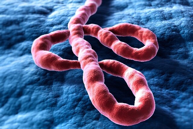 Ebola