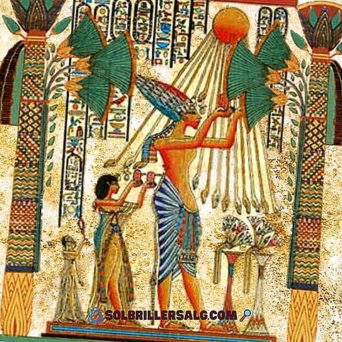 BİYOLOJİ DE ERKEN DÖNEM KÜLTÜRLERİ