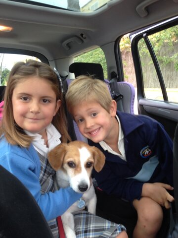 Je vais à l'institut