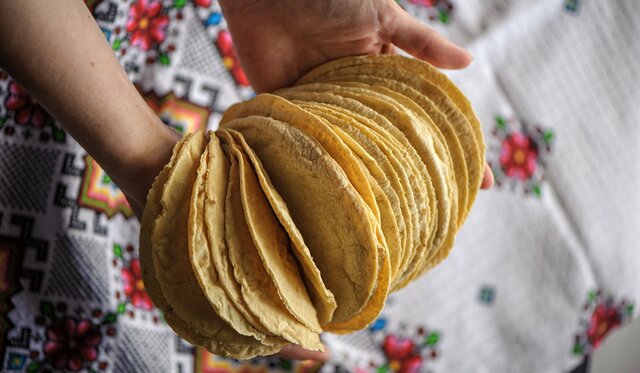 Incrementa el precio del  maíz