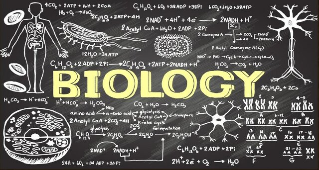 BİYOLOJİK DİSİPLİNLERİN ORTAYA ÇIKIŞI