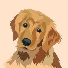 Mon premier animal de compagnie