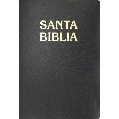 Primer libro ( biblia )