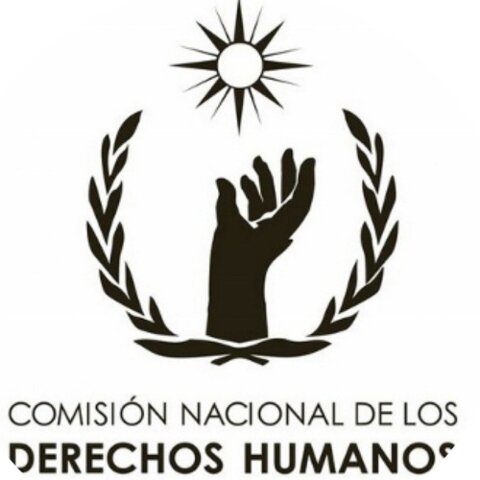 Comisión Nacional de Derechos Humanos
