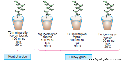 BİYOLOJİK BİLİMLER