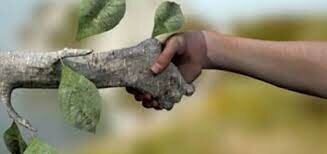 Ley Federal de Responsabilidad Ambiental.