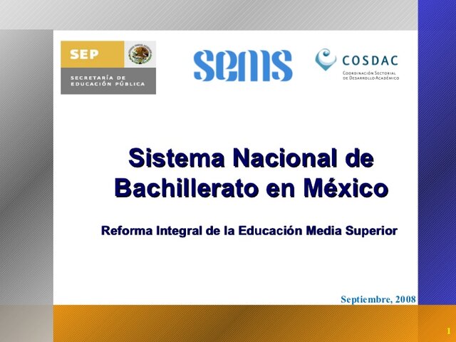 Bachillerato formativo