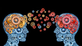 Timeline: Proceso de construccion del conocimiento