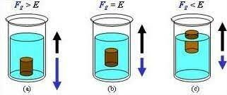 PRINCIPIO DE FLOTABILIDAD DE ARQIMEDES
