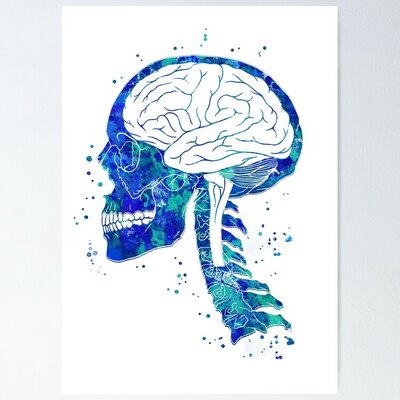 Timeline: 256 QUEZADA QUINTANA CRISTIAN DE LOS GUERREROS