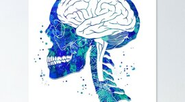 Timeline: 256 QUEZADA QUINTANA CRISTIAN DE LOS GUERREROS