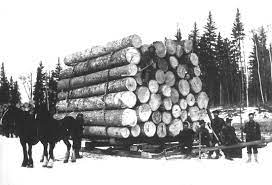 L'industrie forestière devient le secteur économique le plus important