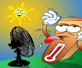 Desarrollo del calor