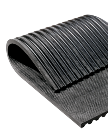 Vulcanized Rubber-Charles Goodyear