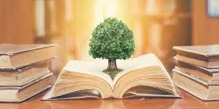 Reforma de artículos, DOF