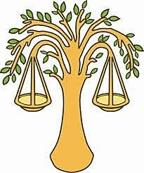 Artículo 13, reformado. DOF