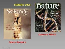 "Celera" y "Consorcio Público"