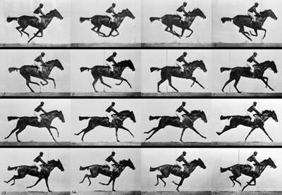 Descomposición del movimiento