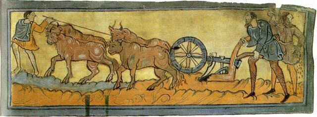 Nuovi strumenti agricoli e la nascita dei comuni