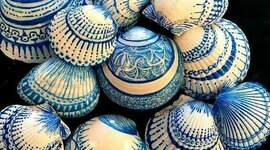 Timeline: AUTOBIOGRAFÍA DE UNA CONCHA DIBUJADA