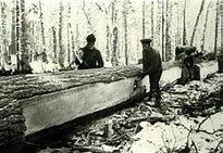 le commerce du bois