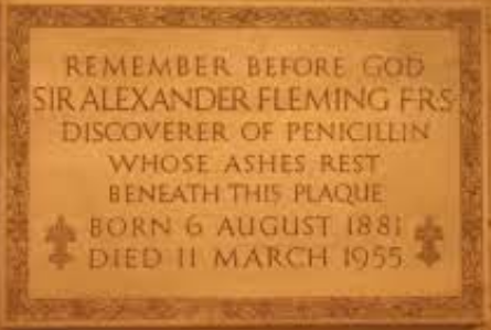 MUERTE DE ALEXANDER FLEMING