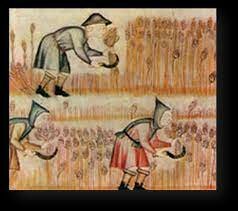 La rinascita demografica dell'agricoltura