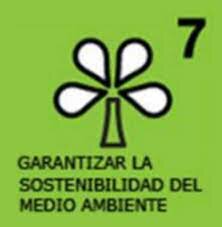 La declaración del milenio