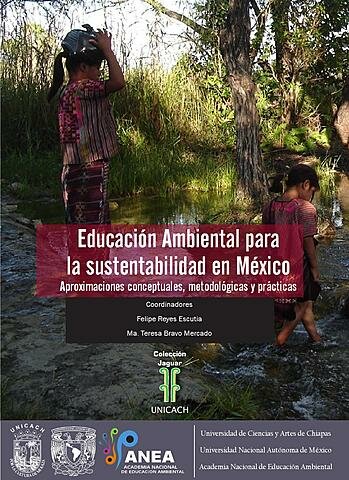 En Latinoamérica y especialmente en nuestro país se abren las posibilidades al desarrollo de una EA