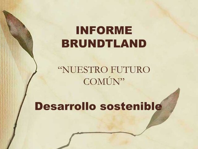 Nuestro Futuro Común
