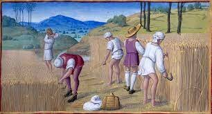 Le nuove tecniche agricole