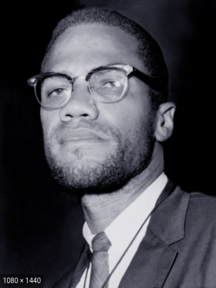 Malcolm X